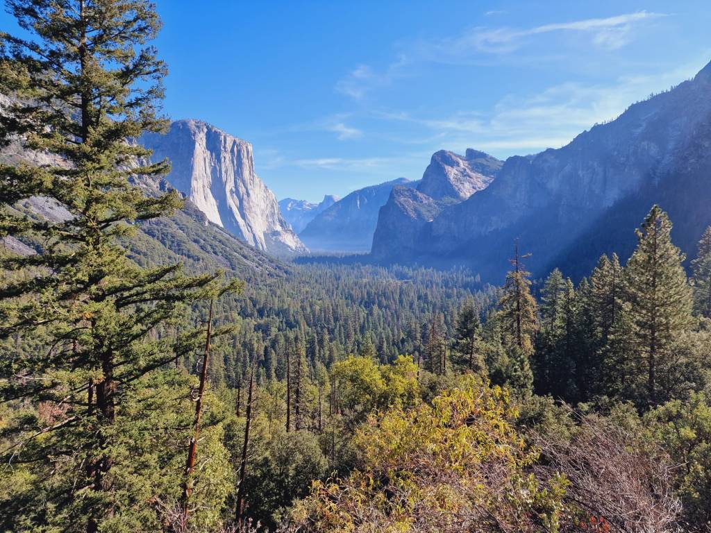 Road trip dans l’ouest américain (part. 1): voyage au pays des Cow-boys !